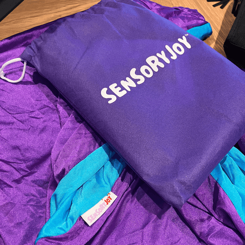 Sensory Joy Reversible Cuddle Swing