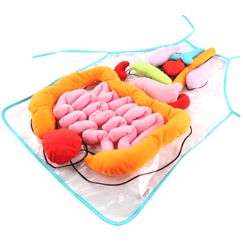 Human body deals apron